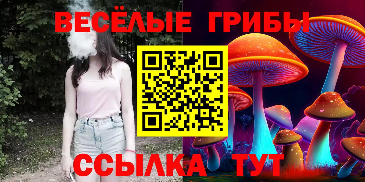 Псилоцибиновые грибы Psilocybe  Псилоцибиновые грибы Magic Shrooms  Вход с VPN  Елизово 